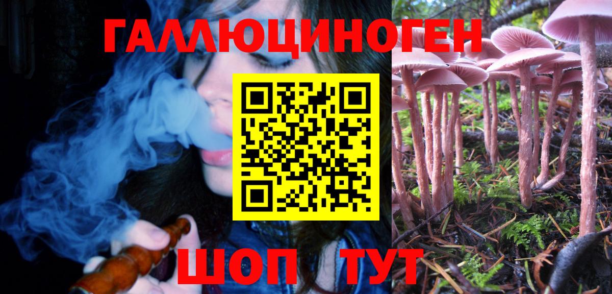 Галлюциногенные грибы Psilocybe  цены наркотик  Кольчугино  Галлюциногенные грибы мицелий  Вход с VPN 